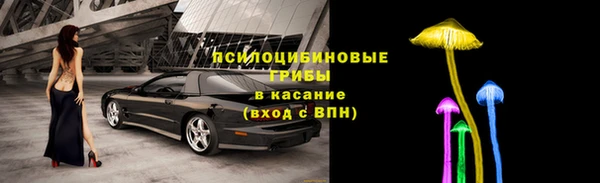 СК Вязники