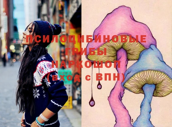 СК Вязники